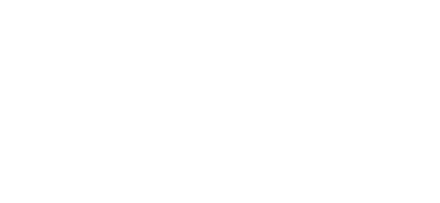 fernanda mendes