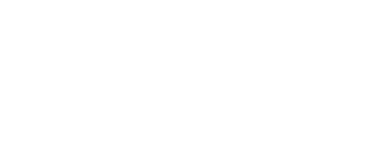 moby scooter
